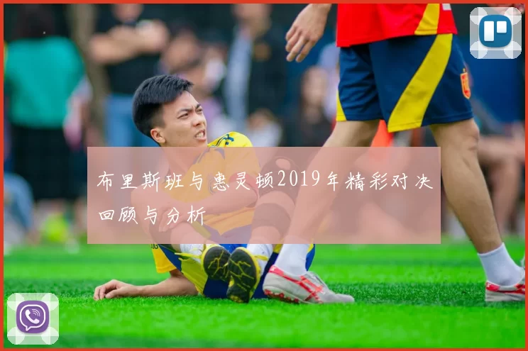 布里斯班与惠灵顿2019年精彩对决回顾与分析