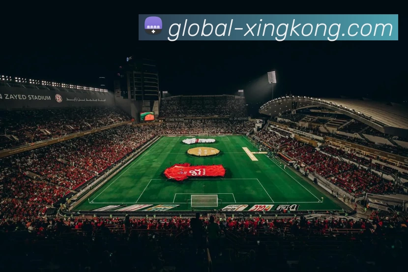 xingkong平台生态图